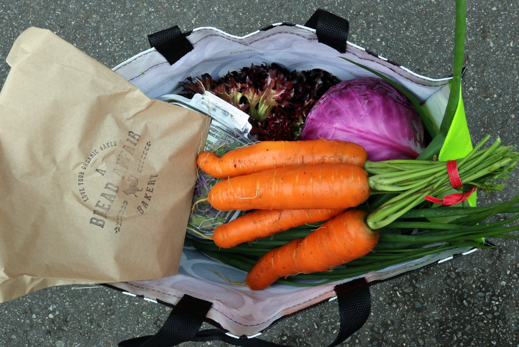 The loot bag: veggies, eggs, cheese, oh my!
