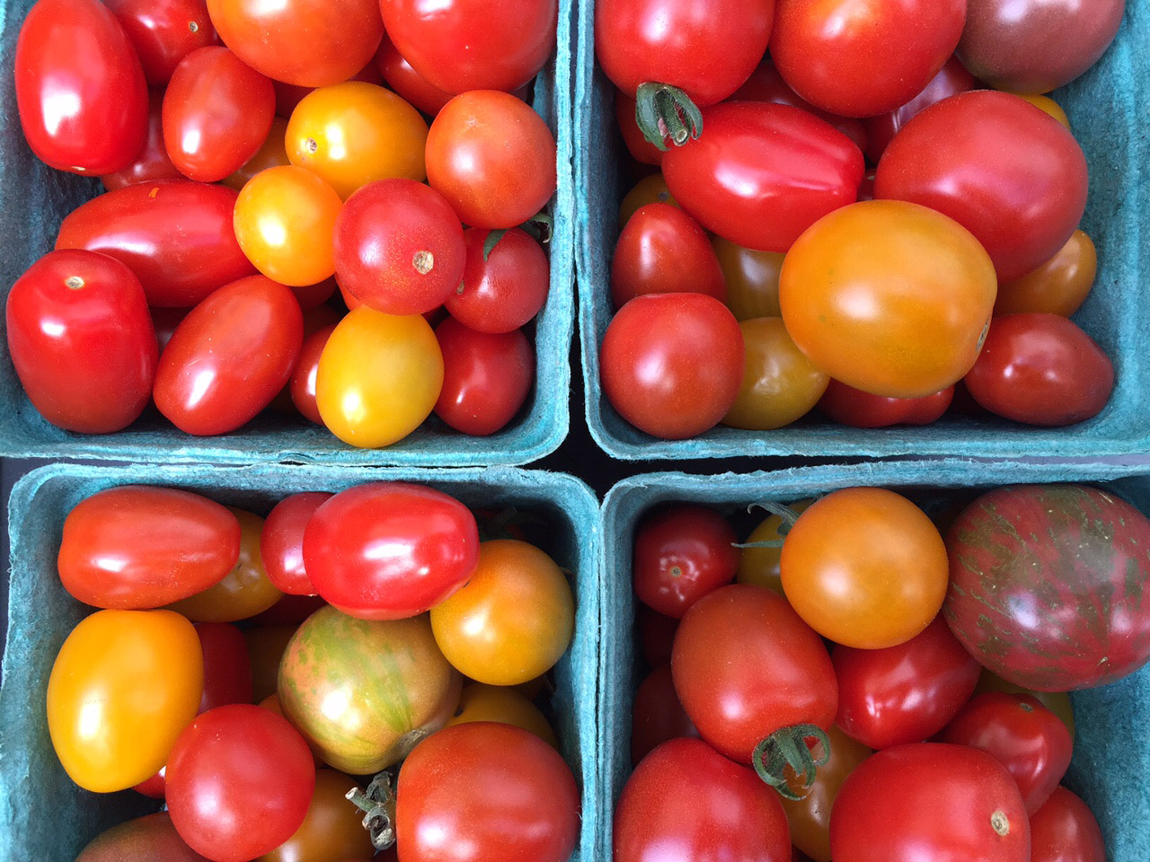 market-tomatoes