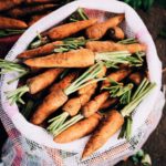 fresh farmers market carrots