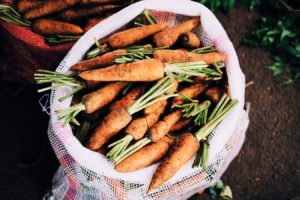 fresh farmers market carrots